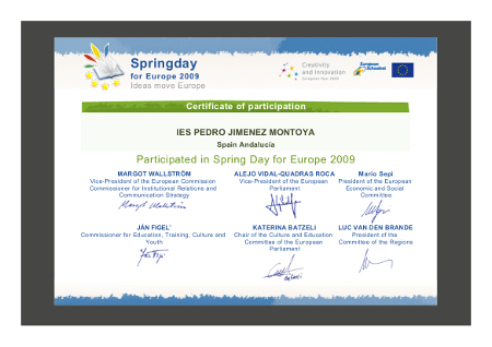 Certificate Participation Springday 2009